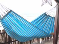 Hammock