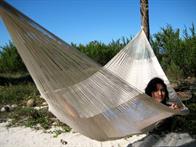 Jumbo Hammock